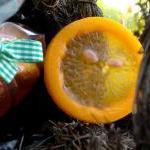 Citrus Wedding Favor Orange & Lemon..